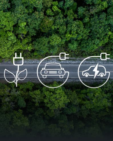 Environmental dimension